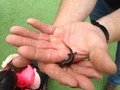 IMG_1120.JPG