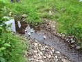 IMG_1135.JPG