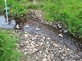 IMG_1136.JPG