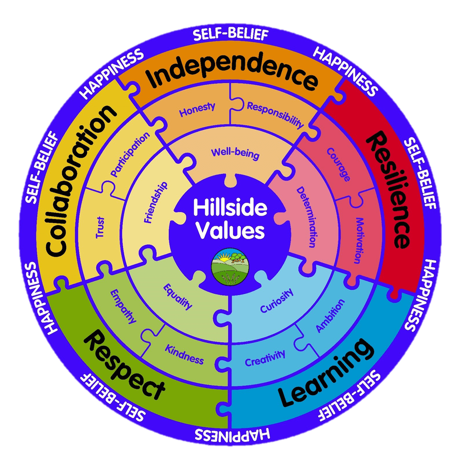 goals of values education