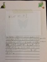 Guess the minibeast Writing 3.JPG