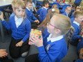 IMG_4406.JPG