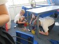 IMG_4602.JPG