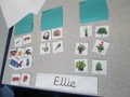 IMG_4436.JPG