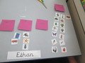 IMG_4438.JPG