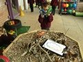 IMG_2776.JPG