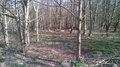 WP_20160320_001.jpg