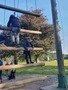 20190920_094539.jpg