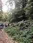 0FC71638-6179-46C2-9D08-A30BDB952620.jpeg