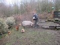 IMG_1033.JPG