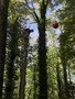 7271E456-C464-4DA3-B97D-446339A073F8.jpeg