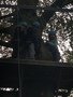 F6D0C142-6239-409B-81A7-0CE7B7008D82.jpeg
