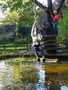 4AFDF174-7D01-4045-879A-FD18D28183C9.jpeg