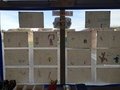 IMG_20191011_141301.jpg