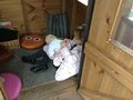 IMG_3343.JPG