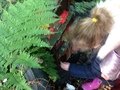 IMG_5018.JPG