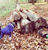 Forest School<br>