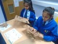 DSC02793.JPG