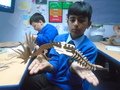 DSC02797.JPG