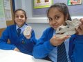 DSC02722.JPG