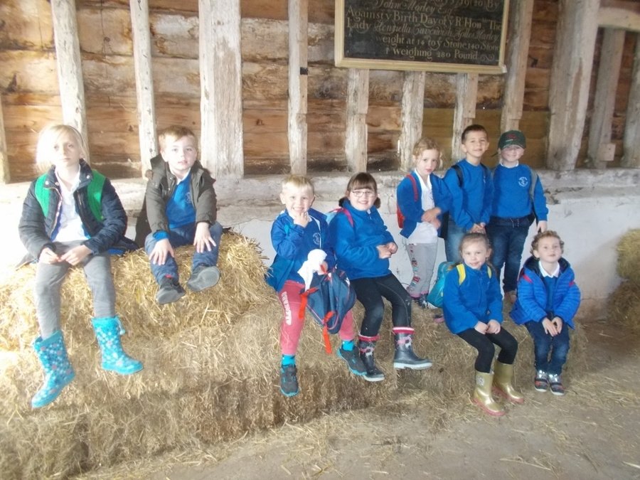 Maple Class visited Wimpole Farm