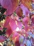 6E3C1254-EFBF-4AD1-AB34-7D34097C4DDC.jpeg