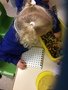 Reception Learn Through Play 2019 (23).JPG