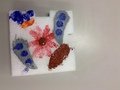 IMG_0694.JPG