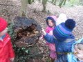 IMG_2563.JPG