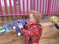 IMG_2446.JPG