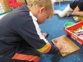 IMG_2426.JPG
