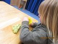 IMG_2409.JPG