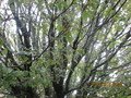 IMG_2507.JPG