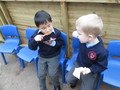IMG_2536.JPG