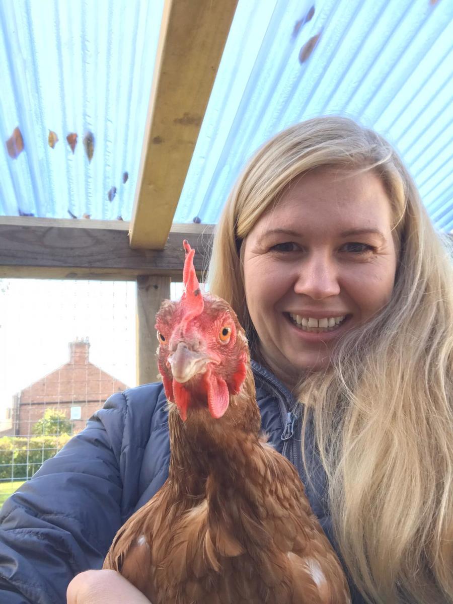 Happiness is chickens