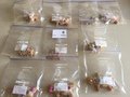 Gingerbread Inter-house Nov 2019 (37).JPG