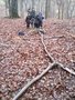 IMG_20191125_143330.jpg