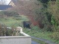 IMG_3043.JPG
