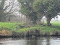 IMG_3078.JPG