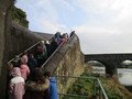 IMG_3079.JPG