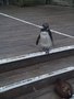 DSCF9192.JPG