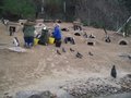 DSCF9193.JPG
