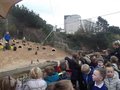 DSCF9201.JPG