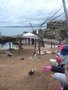 DSCF9209.JPG