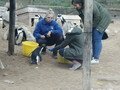 IMAG0110.JPG
