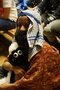 Yr 4 nativity (2).JPG