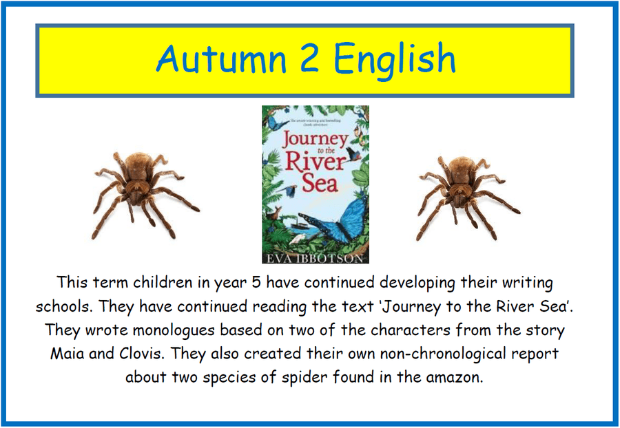 Woodlands Primary School Blogs