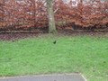 IMG_3272.JPG