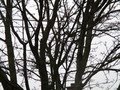 IMG_3273.JPG