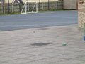 IMG_3274.JPG
